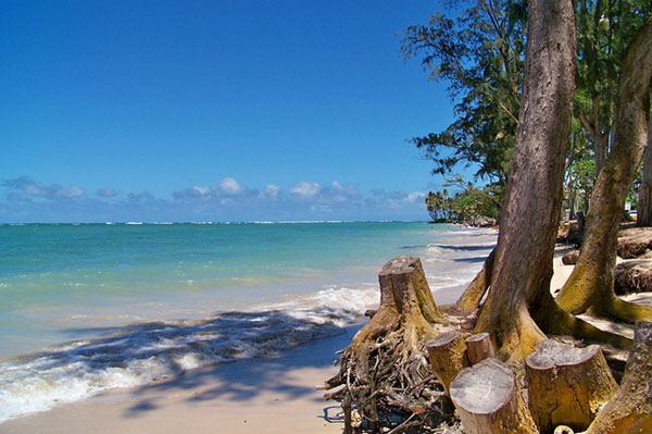 free-photo-hawaii-beach