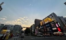 S__49315867